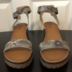 JellyPop Women’s Sz 9 reptile pattern heeled sandals NEVER WORN